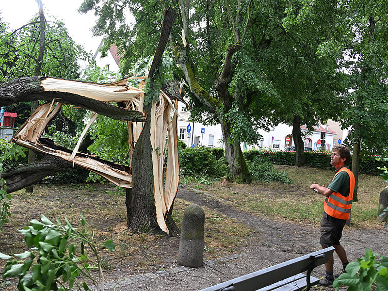 Sturmschäden LaurenziplatzSturmschäden am Laurenziplatz u.a.