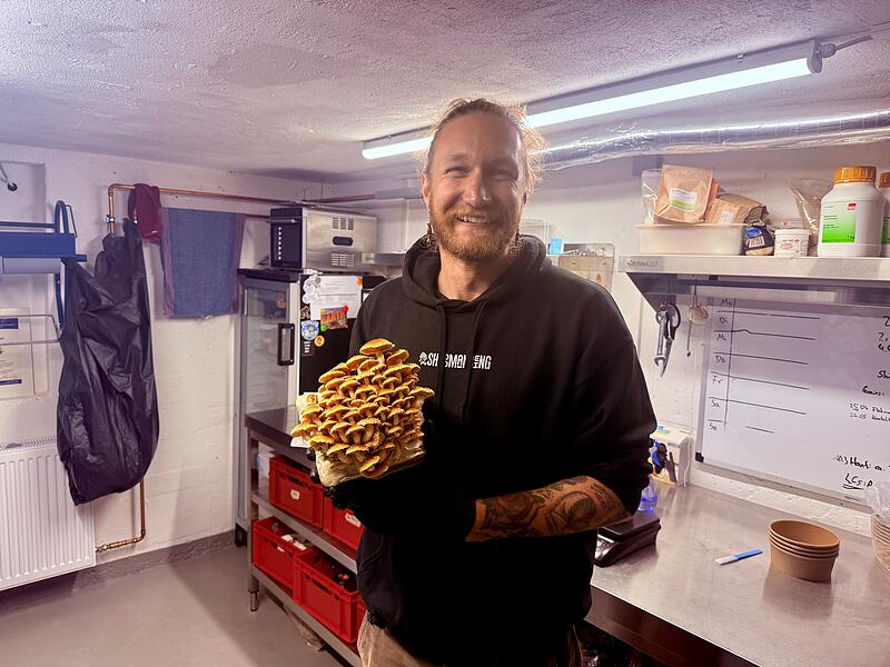 Tobias Fleischmann betreibt die einzige Pilzzucht in Bamberg. Um die 10 Kilo Speisepilze erntet er pro Woche.