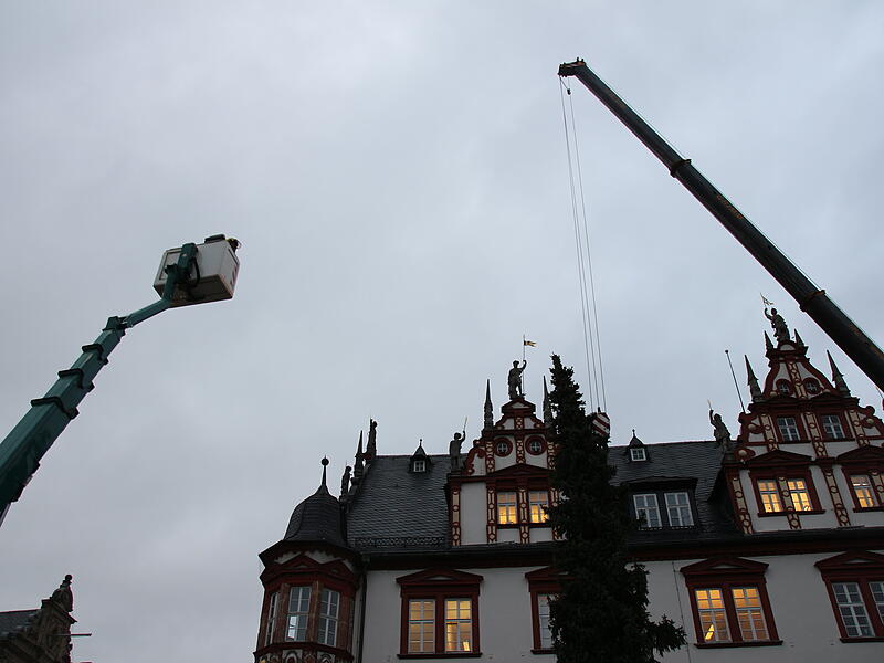 Der Coburger Weihnachtsbaum 2023 ist da