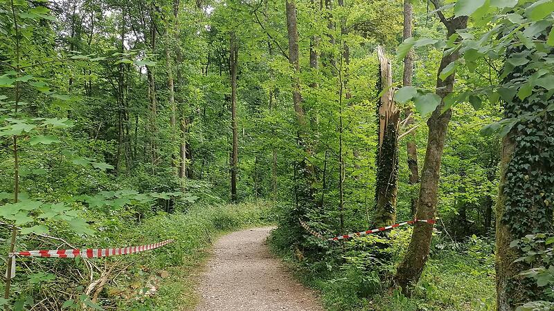 Die Unglücksstelle im Todsfeldtal bei Thuisbrunn: Hier wurde im Juni vergangenen Jahres ein Rentner von einem morschen Ast getroffen und tödlich verletzt.Forchheim & Fränkische Schweiz Die Unglücksstelle im Todsfeldtal bei Thuisbrunn: Hier wurde im Juni vergangenen Jahres ein Rentner von einem morschen Ast getroffen und tödlich verletzt.Forchheim & Fränkische Schweiz
