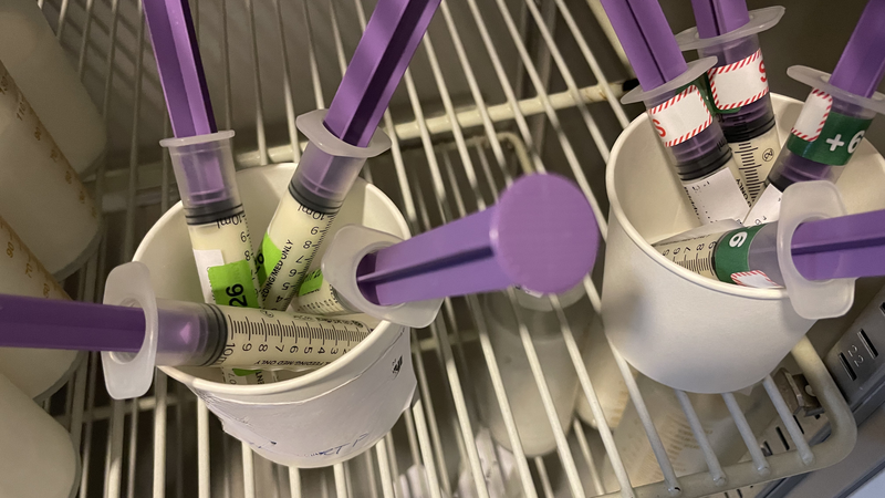 Zehn Milliliter Humanmilch in einer Spritze abgef&uuml;llt.  So klein k&ouml;nnen die Mahlzeiten von Fr&uuml;hchen sein.