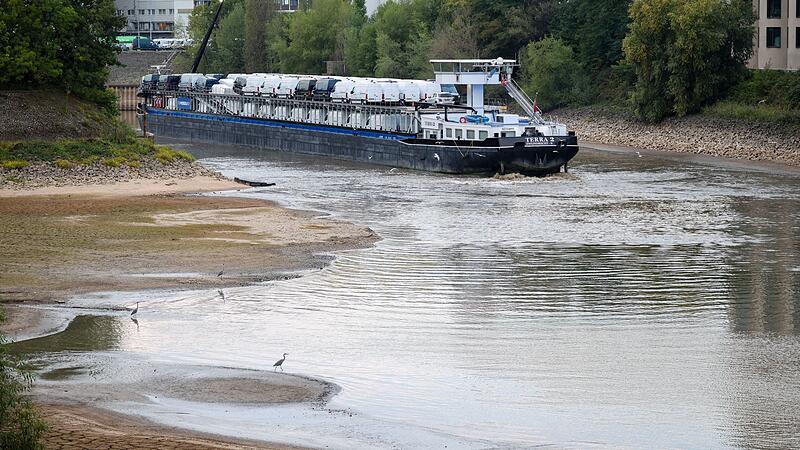 Das mit Sprintern beladene Frachtschiff Das mit Sprintern beladene Frachtschiff
