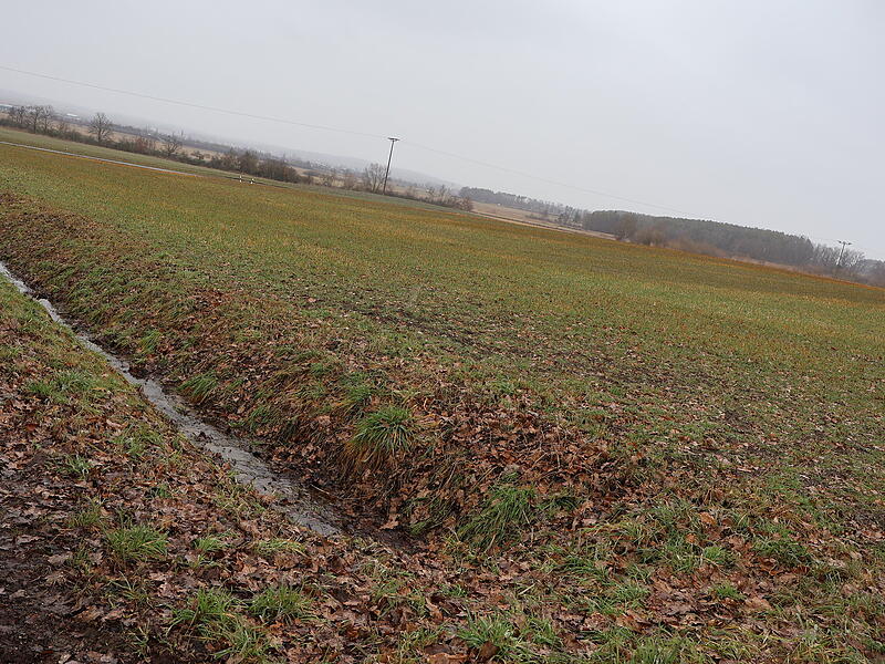 Wenn es nach der Familie Wirth geht, soll auf dieser Fl&auml;che in Neuhaus ein Wellnesshotel entstehen.