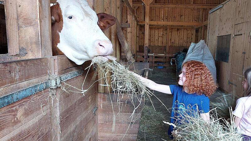 Auf der Lucky Stable Ranch in Mostrach d&uuml;rfen die Kinder gerne mit anpacken.