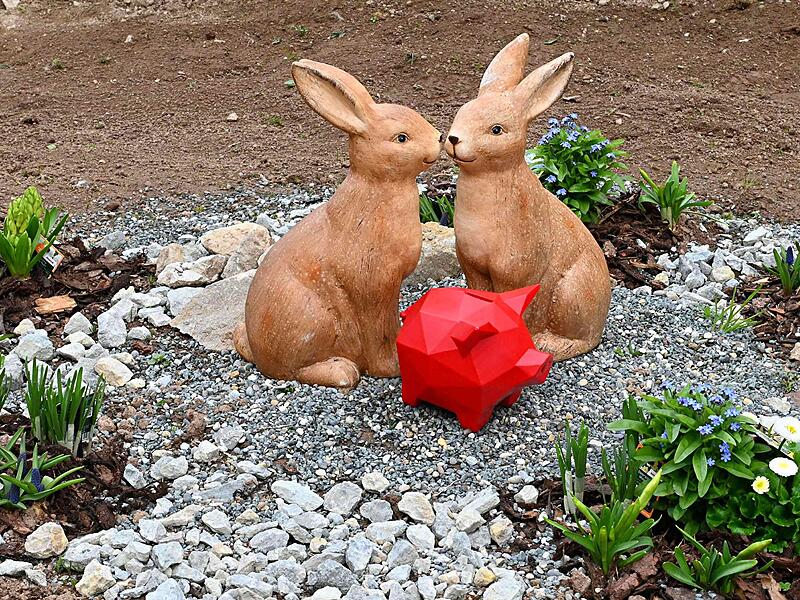 Das rote Spendenschwein zu Besuch beim Kinder- und Jugendhospiz: 10.000 Euro sind bei der Adventsaktion von &bdquo;Franken helfen Franken&ldquo; f&uuml;r das Sternenzelt zusammengekommen.