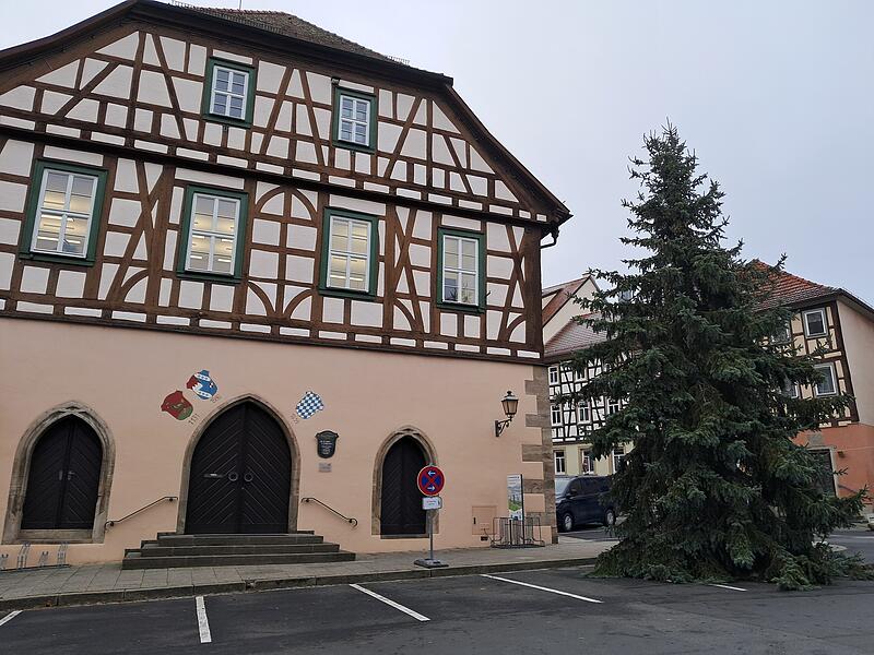 Von vorne fällt die Krümmung des Baums nicht so sehr auf. Von vorne fällt die Krümmung des Baums nicht so sehr auf.