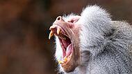 Tierpark Hellabrunn