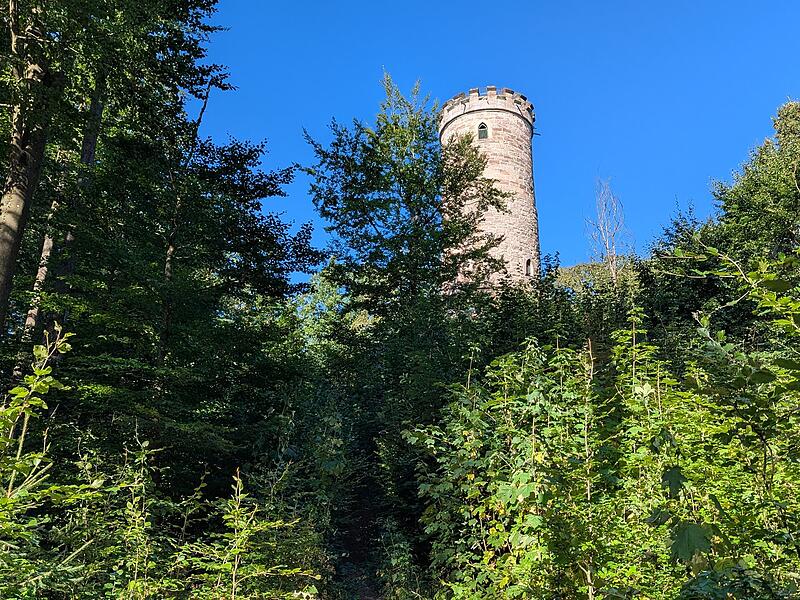 Naturlehrpfad RehbergNaturlehrpfad Rehberg
