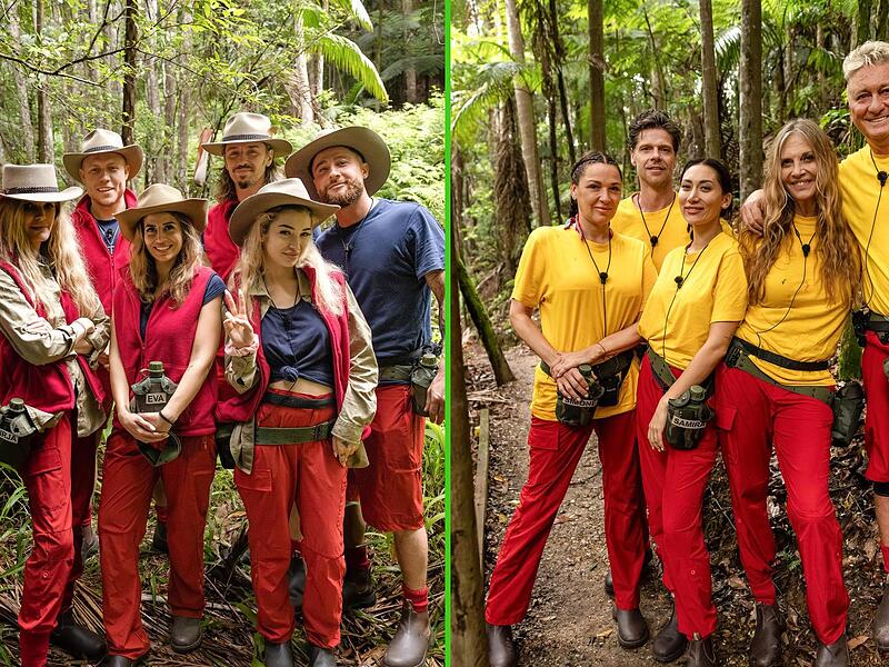 Ich bin ein Star - Holt mich hier raus! - Folge 1