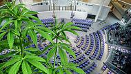 An diesem Freitagnachmittag debattiert und entscheidet der Bundestag über die Legalisierung von Cannabis. Auch in Unterfranken spaltet das Thema die Parteien.