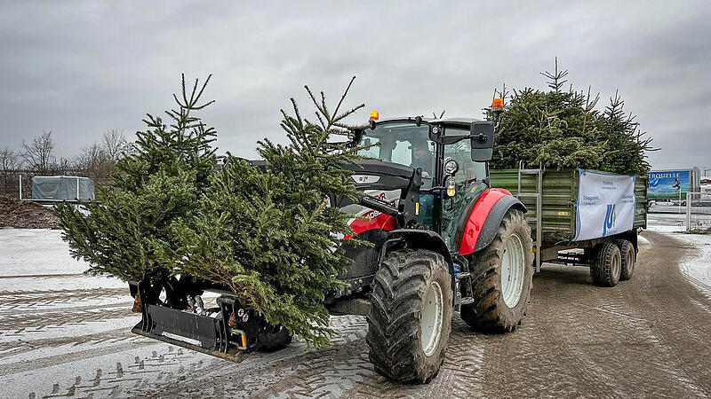F&uuml;nf Traktoren hatte die Junge Union Adelsdorf 2025 im Einsatz, um Christb&auml;ume einzusammeln.
