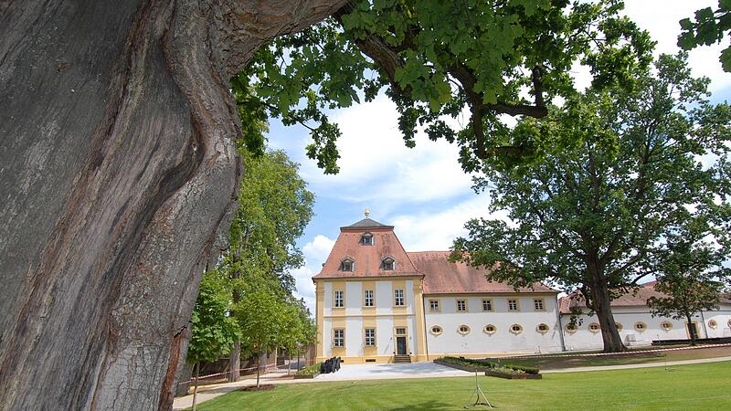Im neu gestalteten Schlosspark wird am 27. August gefeiert.