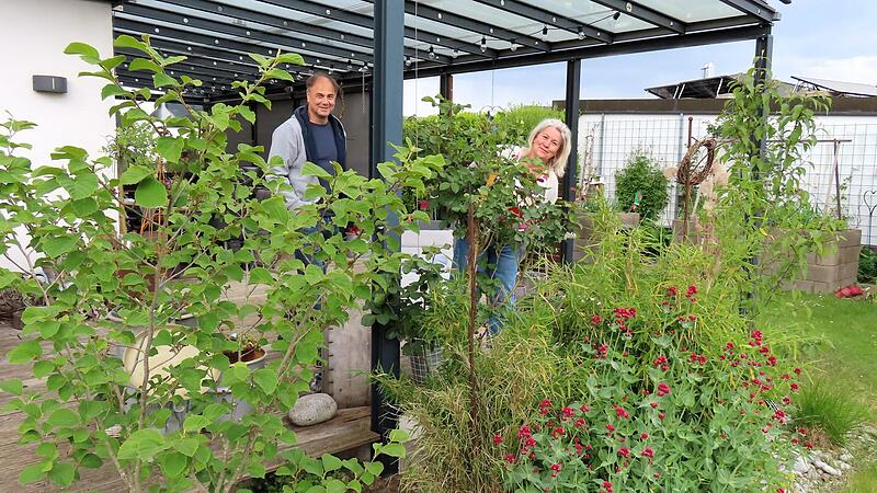 Mal kurz von der &uuml;berdachten Terrasse um die Ecke gespitzt - die Pergola von Helmut und Monika Liesen l&auml;dt bei jedem Wetter zum Verweilen ein.