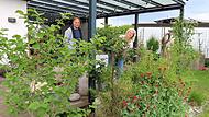 Mal kurz von der überdachten Terrasse um die Ecke gespitzt - die Pergola von Helmut und Monika Liesen lädt bei jedem Wetter zum Verweilen ein. Mal kurz von der überdachten Terrasse um die Ecke gespitzt - die Pergola von Helmut und Monika Liesen lädt bei jedem Wetter zum Verweilen ein.