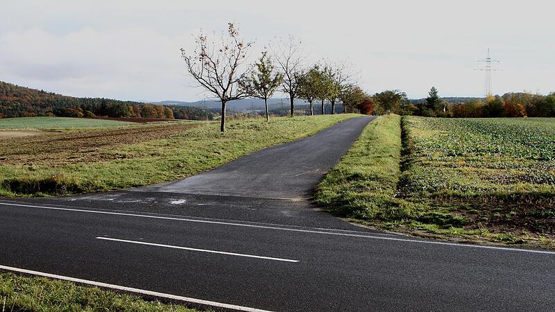 Blick auf den Weg zum Einödhof Doktorshof (im Hintergrund): Der Funkmast soll vorne links sechs Meter von der Zufahrtsstraße und 15 Meter von der Kreisstraße HAS 59 (im Vordergrund) errichtet werden.