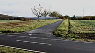 Blick auf den Weg zum Einödhof Doktorshof (im Hintergrund): Der Funkmast soll vorne links sechs Meter von der Zufahrtsstraße und 15 Meter von der Kreisstraße HAS 59 (im Vordergrund) errichtet werden.