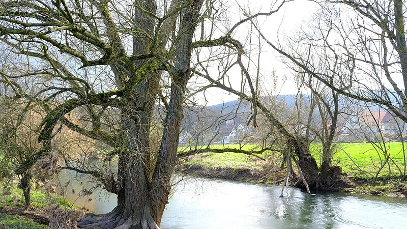 Die Fr&auml;nkische Saale im Landkreis Bad Kissingen bei Untereschenbach.