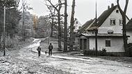 So sah es 1982 im Hermann-Löns-Weg in Neustadt Richtung Muppberg aus.