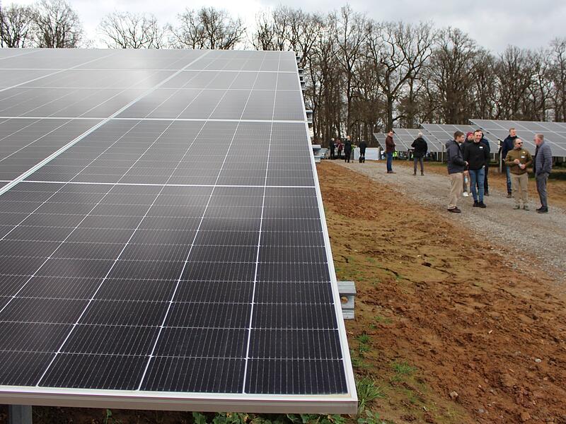 Ende M&auml;rz geht der Solarpark Waizenbach ans Netz. Es ist das erste Projekt der B&uuml;rgerenergiegenossenschaft des Landkreises Bad Kissingen.Ende M&auml;rz geht der Solarpark Waizenbach ans Netz. Es ist das erste Projekt der B&uuml;rgerenergiegenossenschaft des Landkreises Bad Kissingen.
