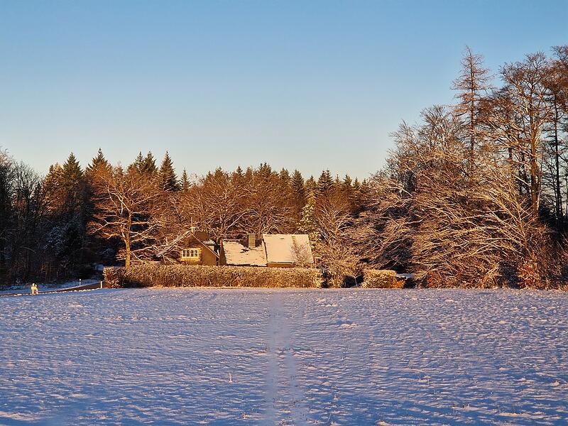 Leserfotos 2025Leserfotos Dezember 2025