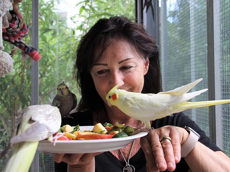 Monika Helms hat &uuml;ber 20 V&ouml;gel.Zwischen Papageien und Sittichen