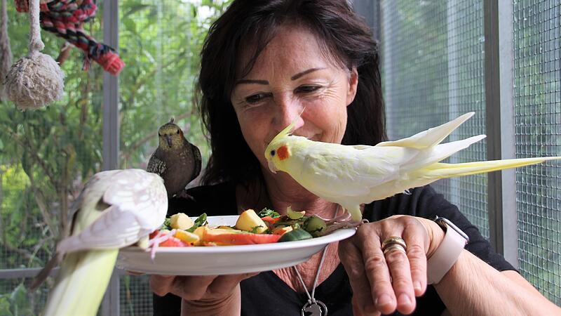 Monika Helms hat &uuml;ber 20 V&ouml;gel.Zwischen Papageien und Sittichen