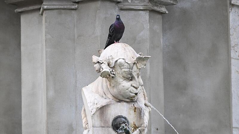 Eine Taube auf dem Gasteigerbrunnen Eine Taube auf dem Gasteigerbrunnen