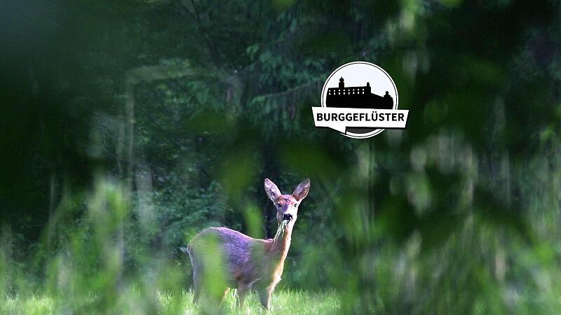 Besondere Naturerlebnisse belohnen die Leisetreter unter uns.
