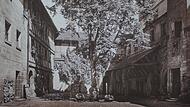 Die Linder in der Kaiserpfalz wurde einfach gefällt.Forchheim & Fränkische Schweiz Die Linder in der Kaiserpfalz wurde einfach gefällt.Forchheim & Fränkische Schweiz