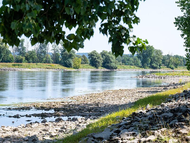 Donauausbau zwischen Straubing und Vilshofen