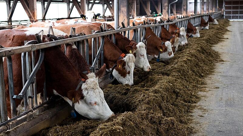 EU-Weidepflicht EU-Weidepflicht