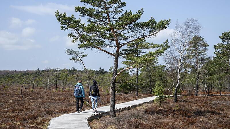 W&auml;lder, Wiesen und wie hier das Schwarze Moore in der Rh&ouml;n dienen dem Klimaschutz, doch die F&auml;higkeit dieser Fl&auml;chen zur CO2-Aufnahme nimmt ab. Das soll sich &auml;ndern.