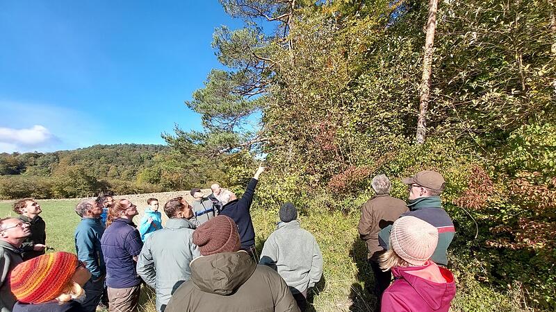 Die Teilnehmer der Exkursion waren fasziniert von den Mehlbeeren, die an verschiedenen oberfränkischen Standorten wachsen.Forchheim & Fränkische Schweiz Die Teilnehmer der Exkursion waren fasziniert von den Mehlbeeren, die an verschiedenen oberfränkischen Standorten wachsen.Forchheim & Fränkische Schweiz