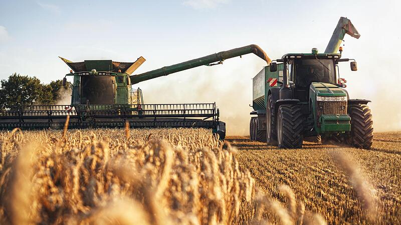 Wie sehr der Ukrainekrieg die Ernte in diesem Jahr belastet, ist schwer vorherzusehen.