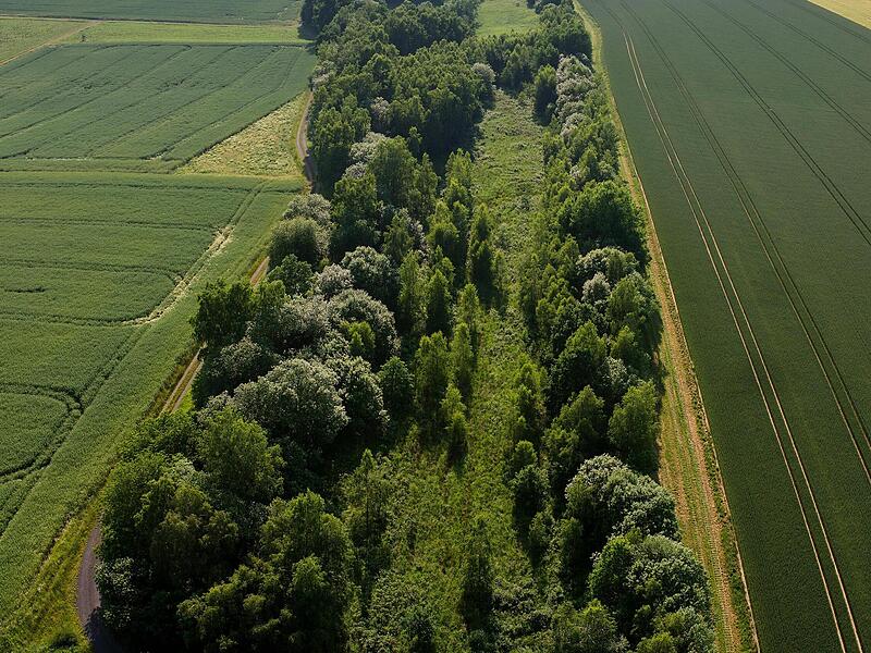 Zwischen Mitwitz und Neustadt zeigt diese Luftaufnahme wie treffend der Name Grünes Band für den ehemaligen Grenzstreifen ist. Das grüne Band, Luftaufnahme zwischen Mitwitz und Neustadt.