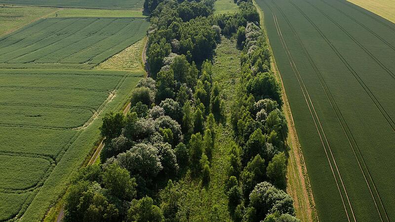 Das gr&uuml;ne Band, Luftaufnahme zwischen Mitwitz und Neustadt.