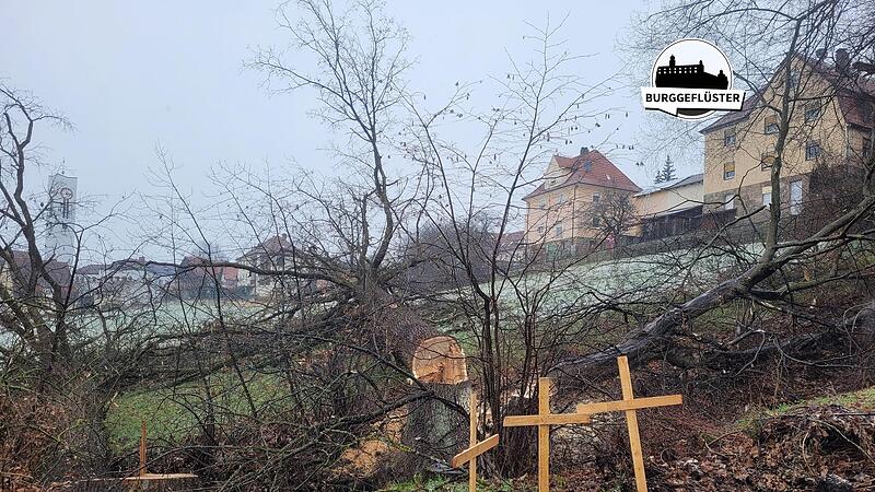 Mit dem F&auml;llen der B&auml;ume hat die Baufirma vollendete Tatsachen geschaffen.