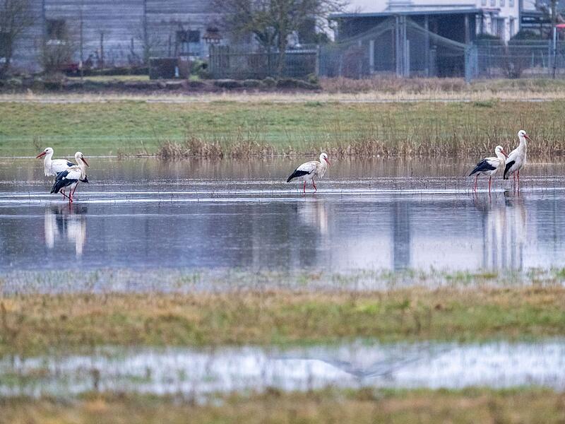 Hochwasser in Bayern