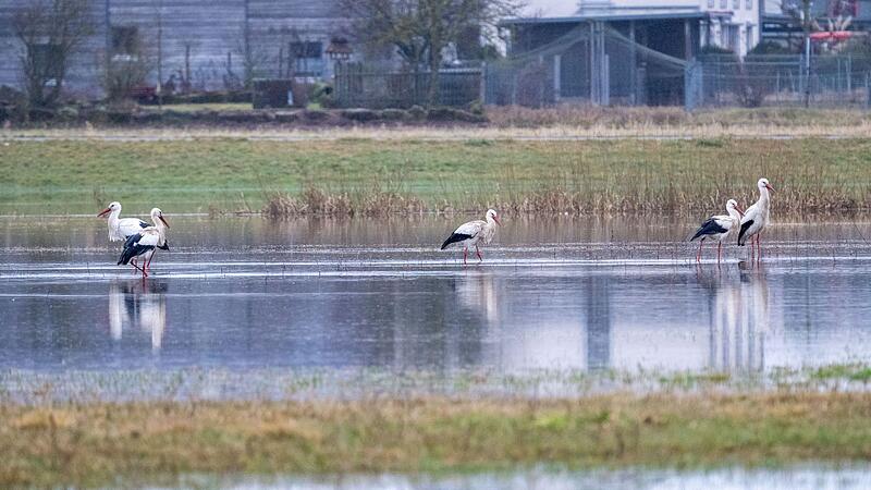 Hochwasser in Bayern