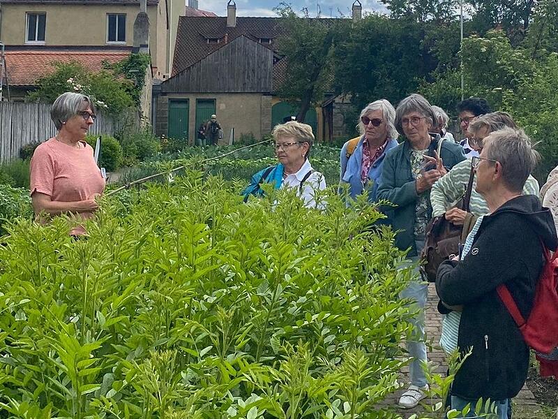 Fasziniert folgten die Ha&szlig;furter Besucher bei der F&uuml;hrung den Worten von Stephanie Ei&szlig;inger.