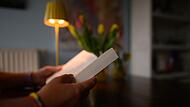 Illustration - B&uuml;cher lesen