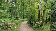 An dieser Stelle im Todtsfeldtal geschah das schreckliche Unglück. Absperrbänder wurden angebracht.Forchheim & Fränkische Schweiz