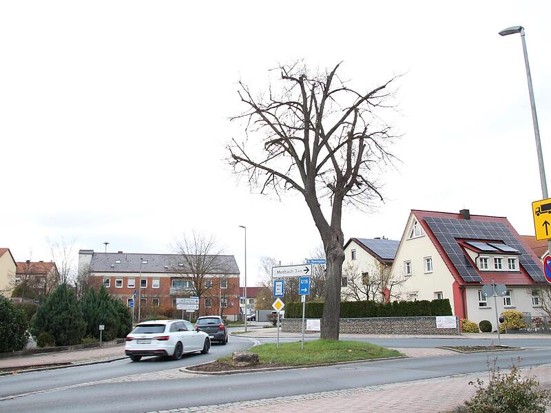 Die Winterlinde am Polizeikreisel in H&ouml;chstadt in der Gro&szlig;en Bauerngasse wird gef&auml;llt und durch einen jungen Baum ersetzt.