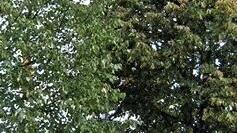 Das Denkmal bei T&uuml;schnitz