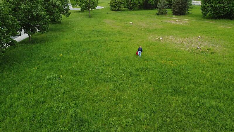 Auf dieser Wiese soll auf der Herzo Base ein neuer Supermarkt entstehen. Auf dieser Wiese soll auf der Herzo Base ein neuer Supermarkt entstehen.
