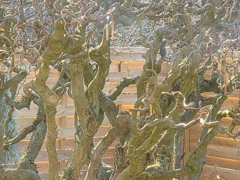 Tierisch gut: Naturaufnahmen aus dem Kreis KronachTierisch gute Bilder: Das lebt im Kreis Kronach