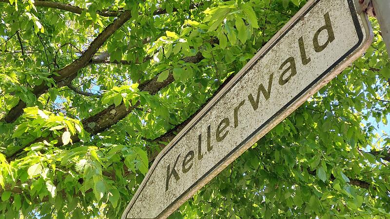 Im Forchheimer Kellerwald ist Gro&szlig;reinemachen angesagt: F&uuml;r die geplanten Sanierungen ist nun klar, mit welchem Keller begonnen werden soll.