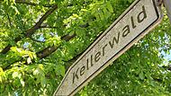 Im Forchheimer Kellerwald ist Gro&szlig;reinemachen angesagt: F&uuml;r die geplanten Sanierungen ist nun klar, mit welchem Keller begonnen werden soll.