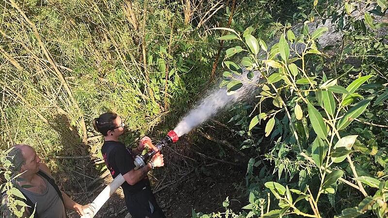 Feuerwehr Gößweinstein mit ungewöhnlichem Einsatz: "Natur ruft um Hilfe" Feuerwehr Gößweinstein mit ungewöhnlichem Einsatz: "Natur ruft um Hilfe"