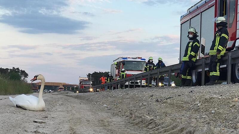 Mit respektvollen Abstand warteten die Feuerwehren aus Heßdorf und Dechsendorf auf das Eintreffen der Erlanger Kameraden der Ständigen Wache, die eine Tierbox auf dem Fahrzeug haben.